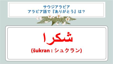 サウジアラビア語でありがとうは？あいさつの書き方・ビジネス・翻訳・丁寧に言う場合や発音・音声も紹介！｜白丸くん