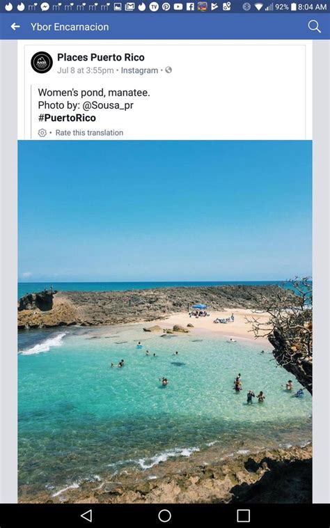 Manatee, Puerto Rico, Pond, Coastline, Places, Beach, Water, Outdoor