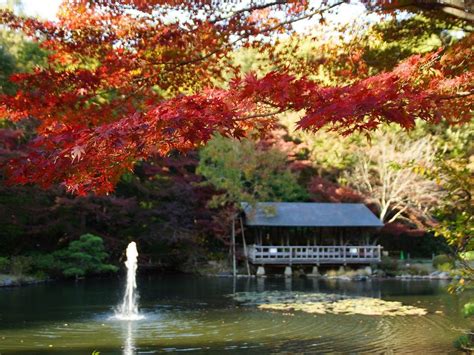 東山動植物園もみじ狩り 【公式】名古屋市観光情報「名古屋コンシェルジュ」