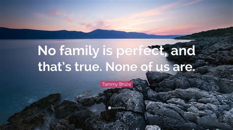 Tammy Bruce Quote: “No family is perfect, and that’s true. None of us are.”