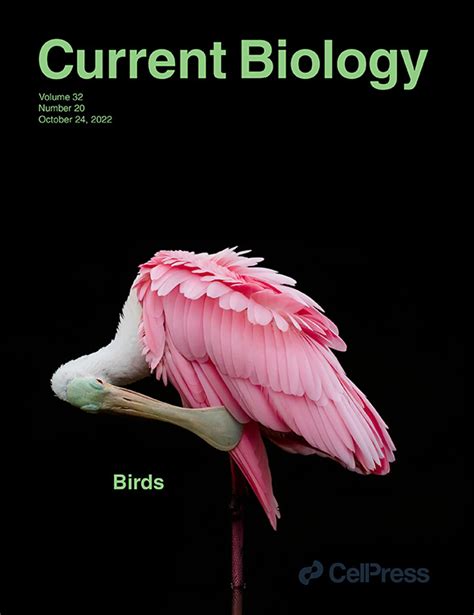 Andrea Flack On Twitter New Frontiers In Bird Migration Research Currentbiology Check Out