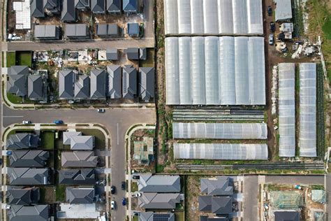 Sydney once produced its own food – but urban development has devoured