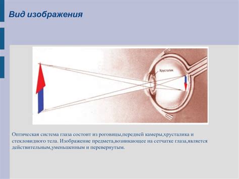 Глаз, как оптическая система