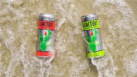 The Truth About The Newest Drink Trend Cactus Water