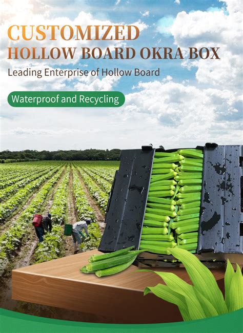 Best Waterproof Foldable New Vegetable Corrugated Packing Box Okra