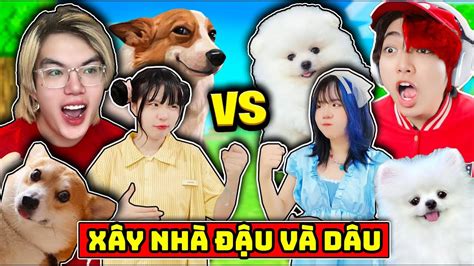 PHONG CẬN VÀ SAMMY CẶP ĐÔI ĐẠI CHIẾN MÈO SIMMY KAIRON XÂY NHÀ BÉ ĐẬU BÉ