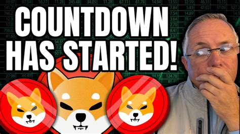 Shiba Inu The Countdown Has Started Youtube