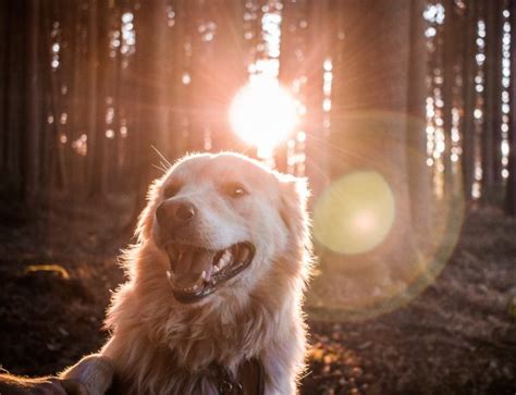 Clothing Optional Nude Beaches In Vancouver Bored In Vancouver