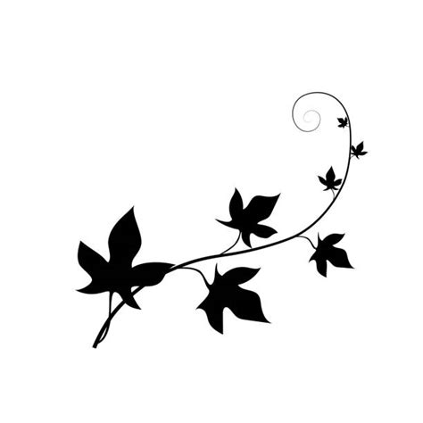 Ivy Leaf Silhouette Illustrations, Royalty-Free Vector Graphics & Clip Art - iStock