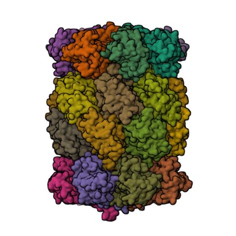 RCSB PDB 3MKA Crystal Structure Of Mycobacterium Tuberculosis