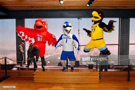 Creighton Mascot Photos and Premium High Res Pictures - Getty Images