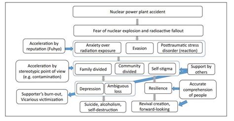 Causes of the Fukushima Nuclear Reactor Meltdown