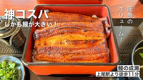 神コスパ「鰻の成瀬 大宮店」のうな重はランチやテイクアウトにもおすすめです。 食べて埼玉