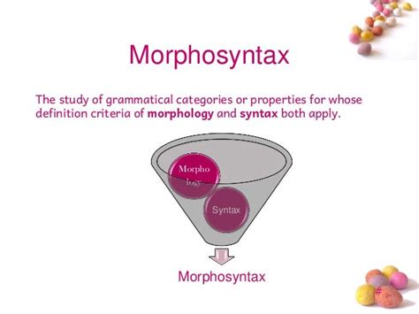 Introduction To Morphosyntax