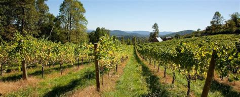 Virginia Wine Trails - Virginia Is For Lovers | Virginia wine country ...