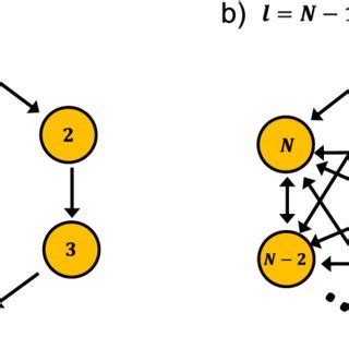 Schematic Representations Of The Stochastic Models For Cancer