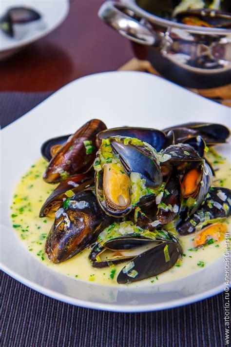 Черноморские мидии в самбуке (ТТК0769) технологическая карта