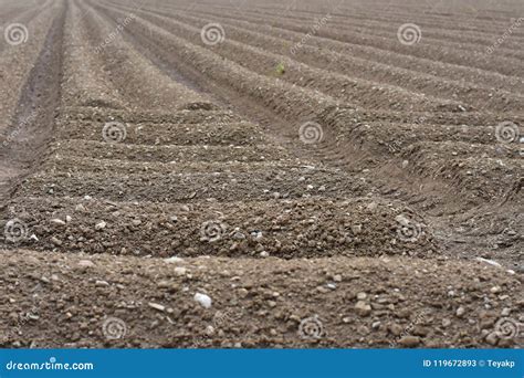 Brown Soil Field Agricultural Ground Stock Image Image Of Outdoor