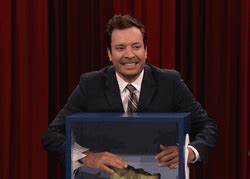 Whats In The Box Jimmy Fallon Shocked Screaming GIFDB