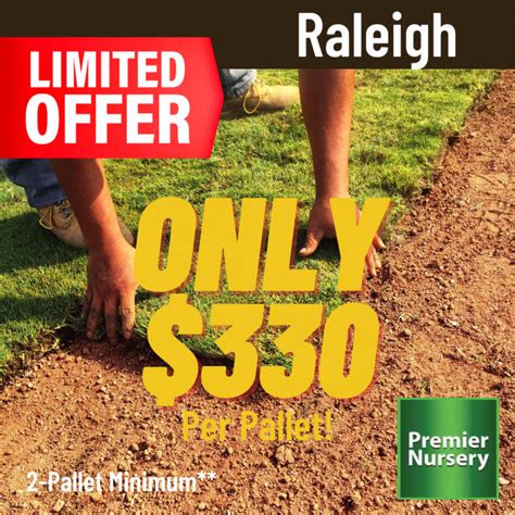 Raleigh St Augustine Grass Sod Pallet Premier Nursery