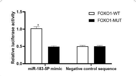 Dual-luciferase reporter gene assay for relative luciferase activity ... 