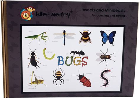 Plastic Insects And Bugs Minibeasts For Sorting And Counting Boxed