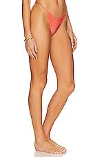 Ostra Brasil Triangle Fixed Strap Bikini Bottom In Orange Board REVOLVE