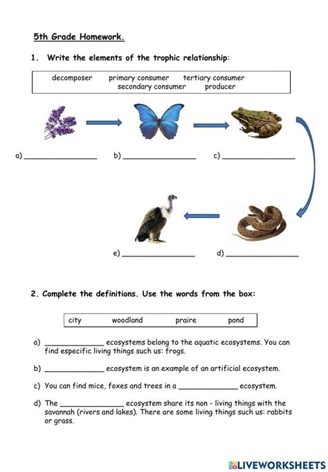 science  grade worksheet  worksheets