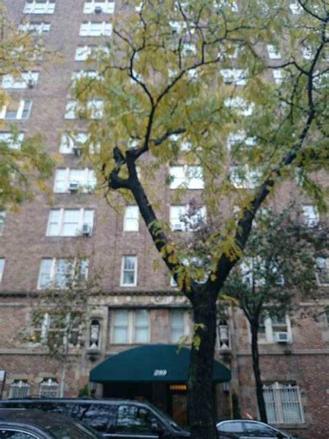 299 West 12th Street in West Village : Sales, Rentals, Floorplans