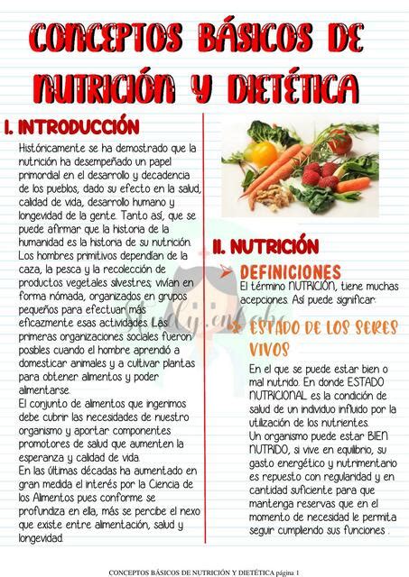 Conceptos Básicos de Nutrición y Dietética Antonella Rivadeneyra