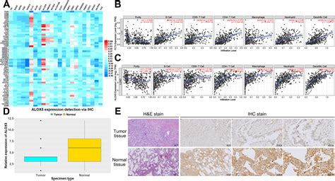 Screening And Biomarker Assessment Of Ferroptosis Genes FLT3 And ALOX5