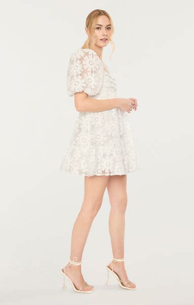 Posh Dress