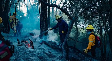 Controlado El Incendio Forestal En Laguna De Los Padres Noticias De