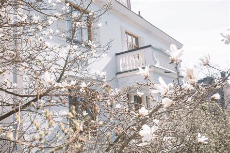 Rhubarb Lemon Mousse Semi Naked Cake Hanna Lionel