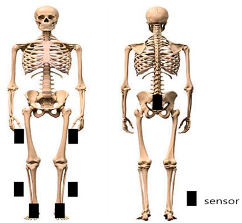 Medicina Free Full Text Effects Of Mcconnell And Kinesio Tapings On