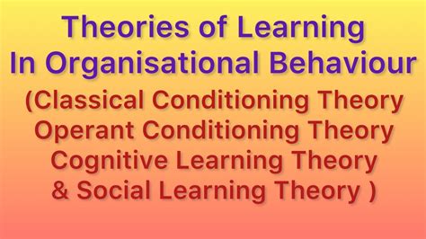 Theories Of Learning In Organisational Behaviour Youtube