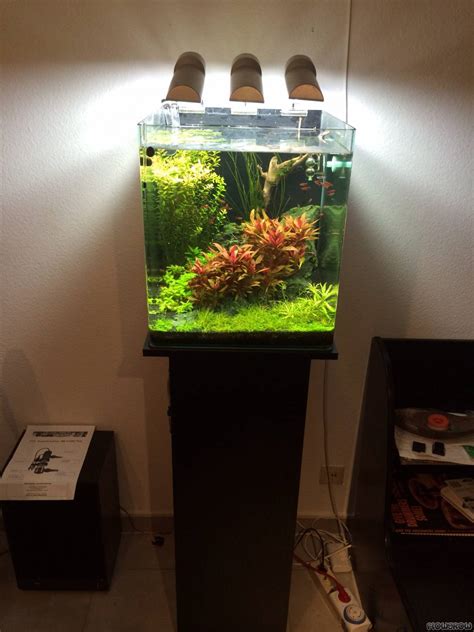 Nano Cube L Dennerle Flowgrow Aquascape Aquarien Datenbank