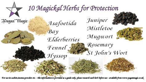 Magickal Protective Herbs For Use In Powders Sachets Incense Etc