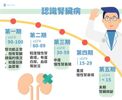 腎功能指數有哪些？腎臟功能不好，從這些指標來判斷 Health2sync Blog