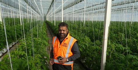 Grower Profile Lakhvir Singh Dhindsa Farm Limited Grower2Grower