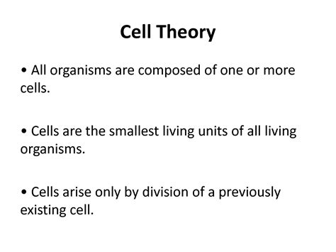 SOLUTION: Anatomy basic functions of organisms - Studypool