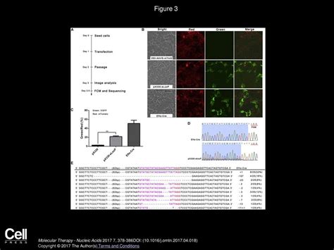 Molecular Therapy Nucleic Acids Ppt Download