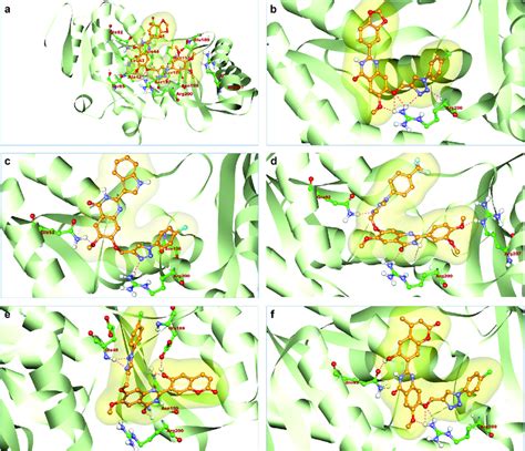 Generalized structure of pantothenate synthetase protein (3IVX) along ...