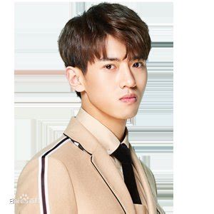 Wang Zhi Wen (王志文) - MyDramaList
