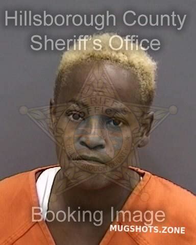 Hernandez Brandi Hillsborough County Mugshots Zone