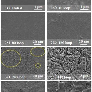 SEM Surface Morphology Of RTV Coatings After Aging For Different