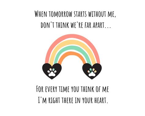 Best pet rainbow bridge quotes