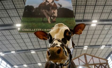 Salon De Lagriculture Visiteurs Pour La E Dition