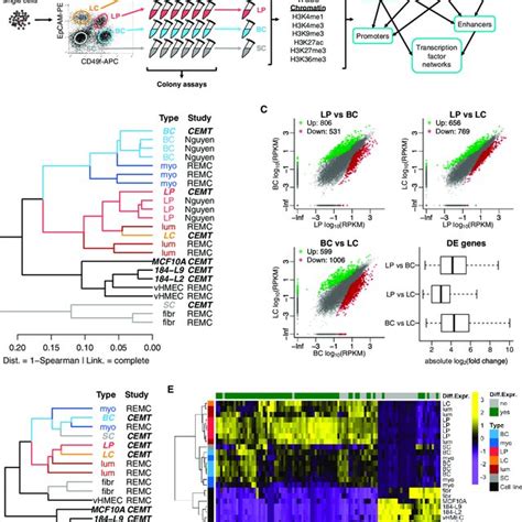 Isolation Of Purified Cell Subsets And Epigenomic Profiling A