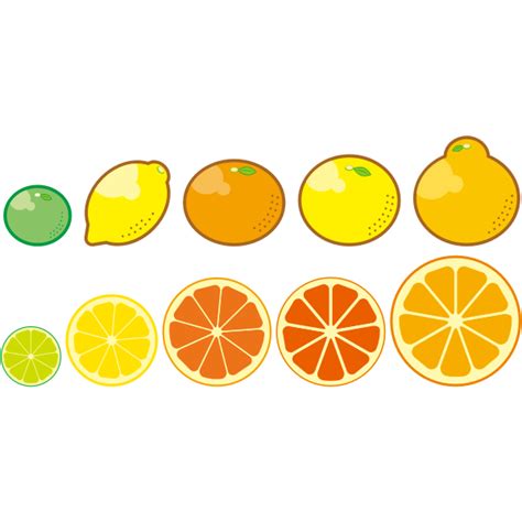 Free Orange Fruit Svg Free 403 Svg Png Eps Dxf File